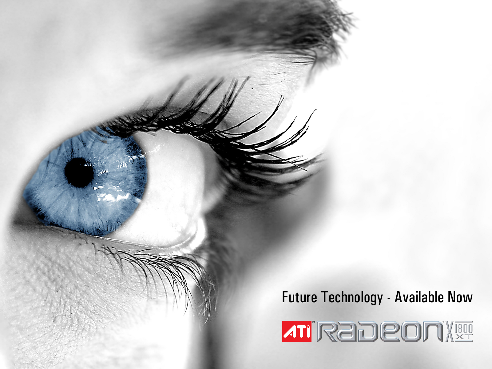 ATI RADEON Future Technology305559349